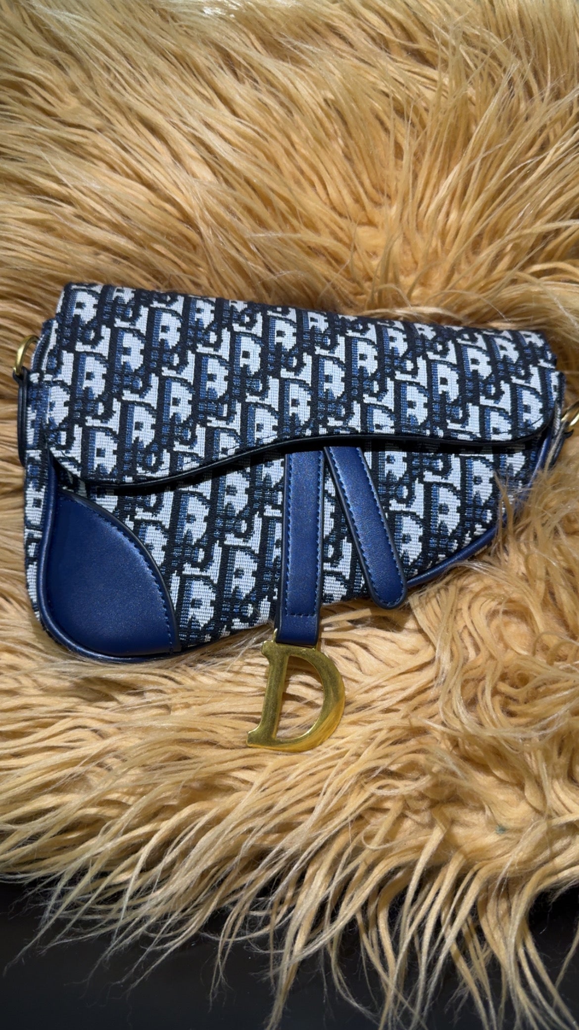 CD blue saddle