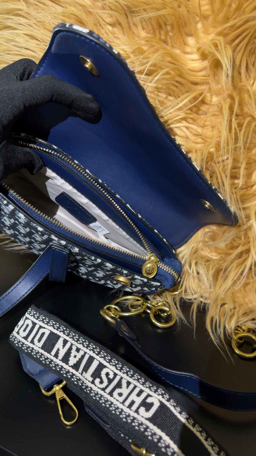 CD blue saddle