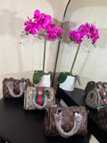 Lu mini Speedy Br/checker