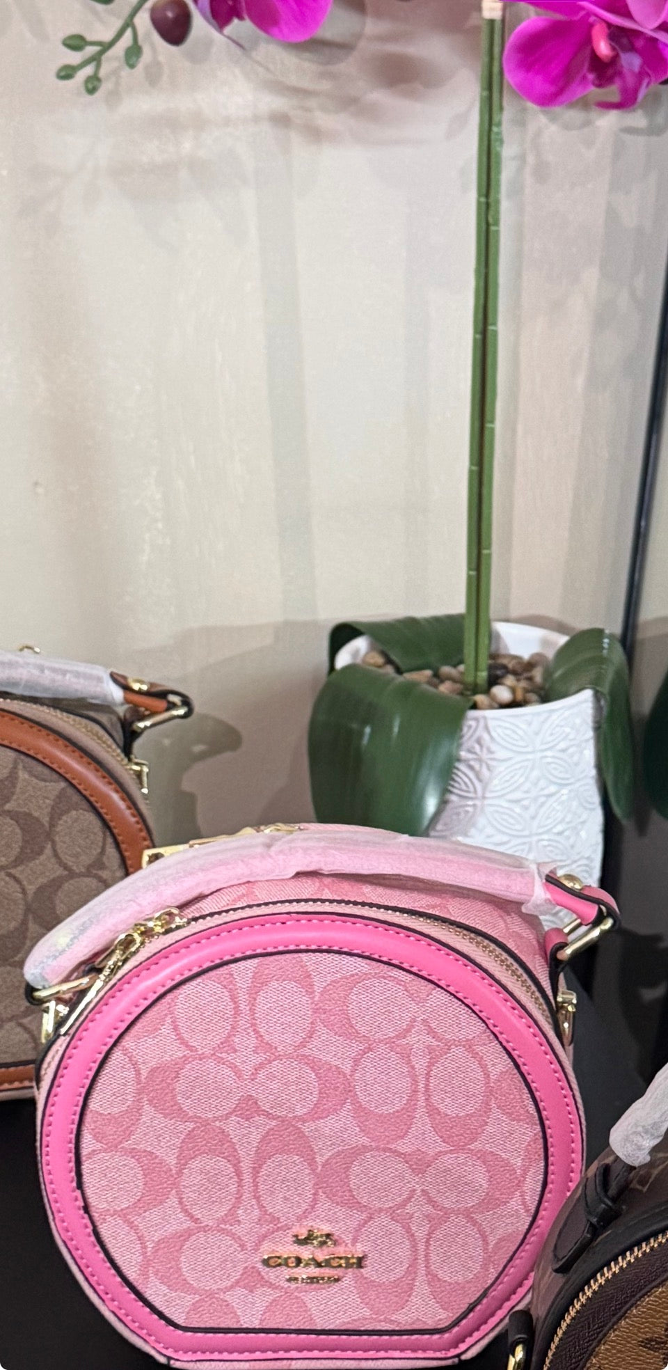 Co canteen purse pink