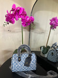 Louis Vuitton speedy 20 blue