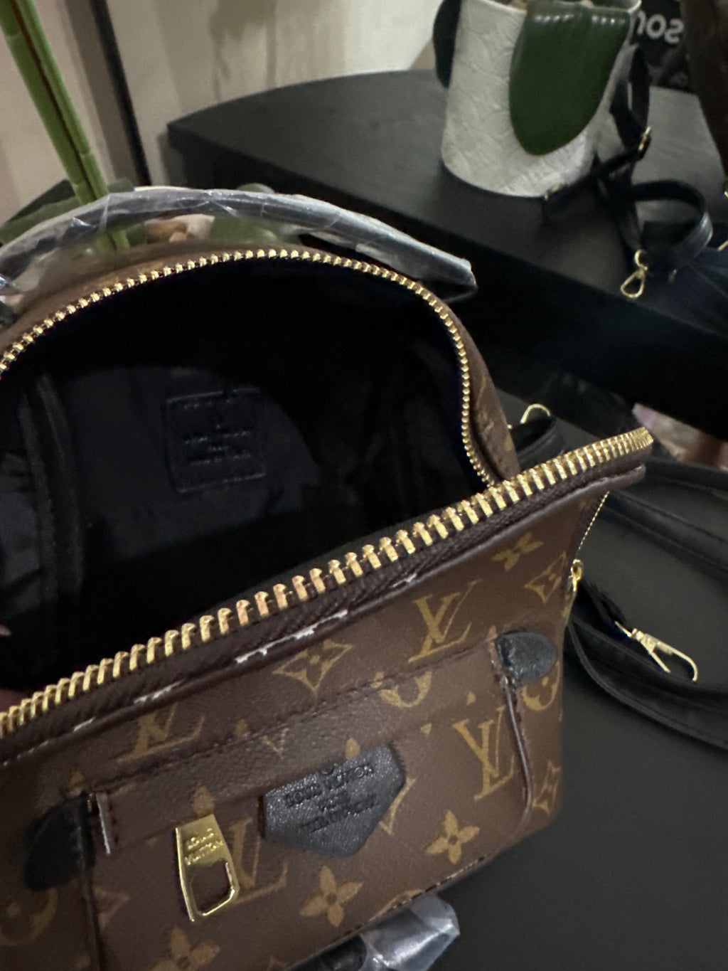 Louis Vuitton Palm Springs mini