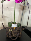 Fendi small speedy mono