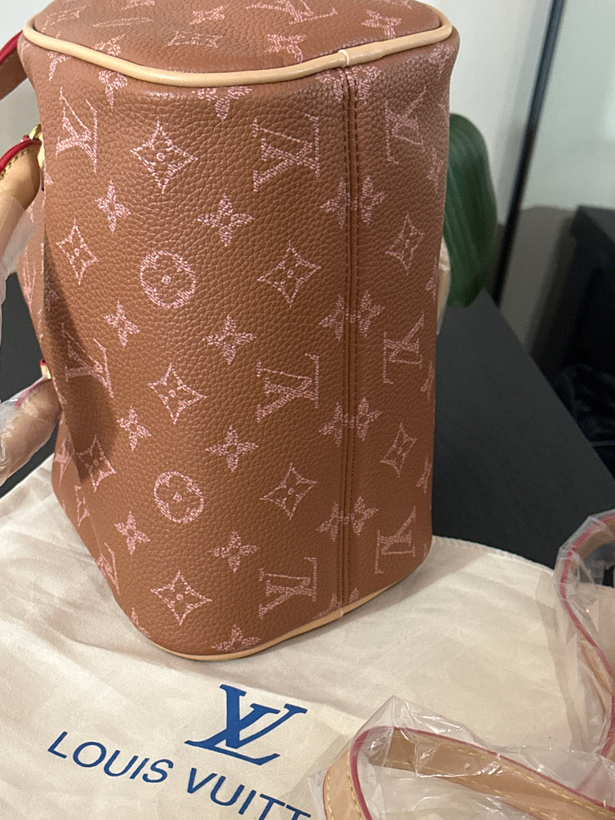 Louis Vuitton speedy 20 orange