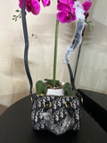 Dior small speedy mono