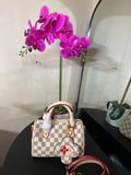 Louis Vuitton speedy 20 white checker