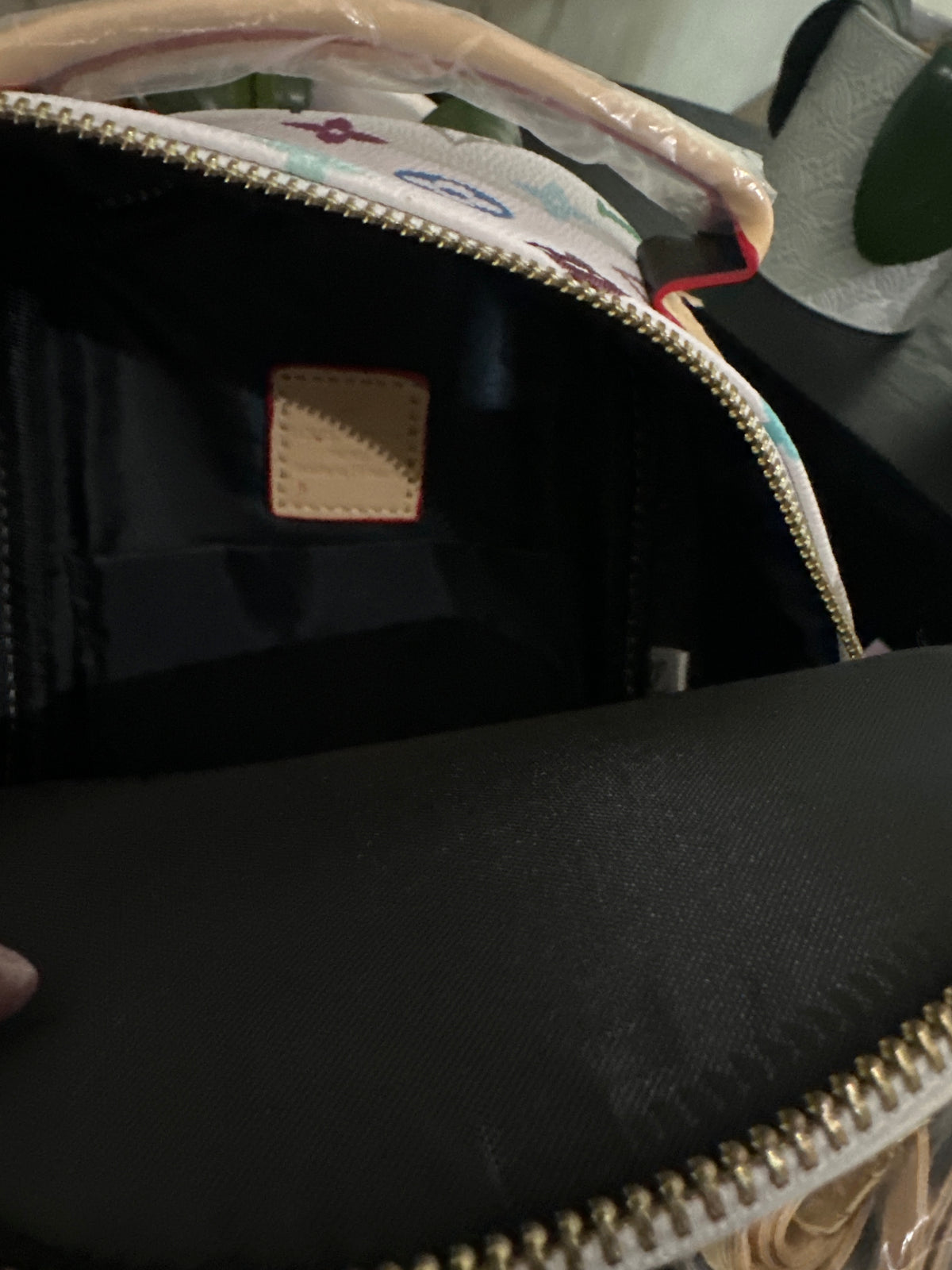 Louis Vuitton Palm Springs mini