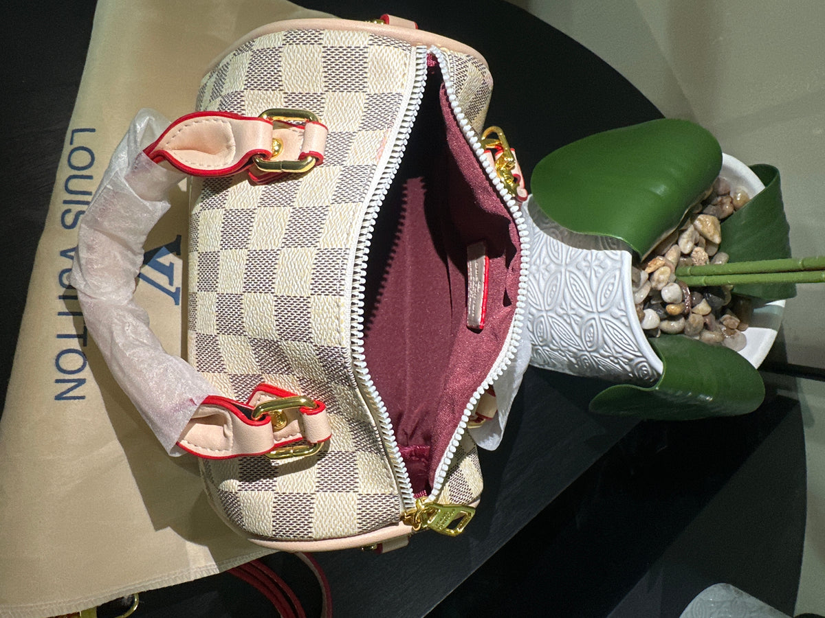 Louis Vuitton speedy 20 white checker