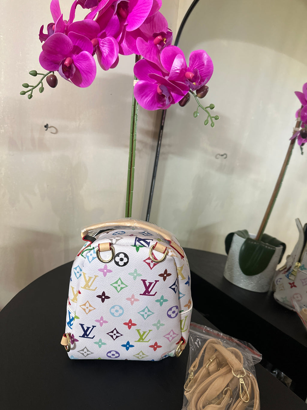 Louis Vuitton Palm Springs mini