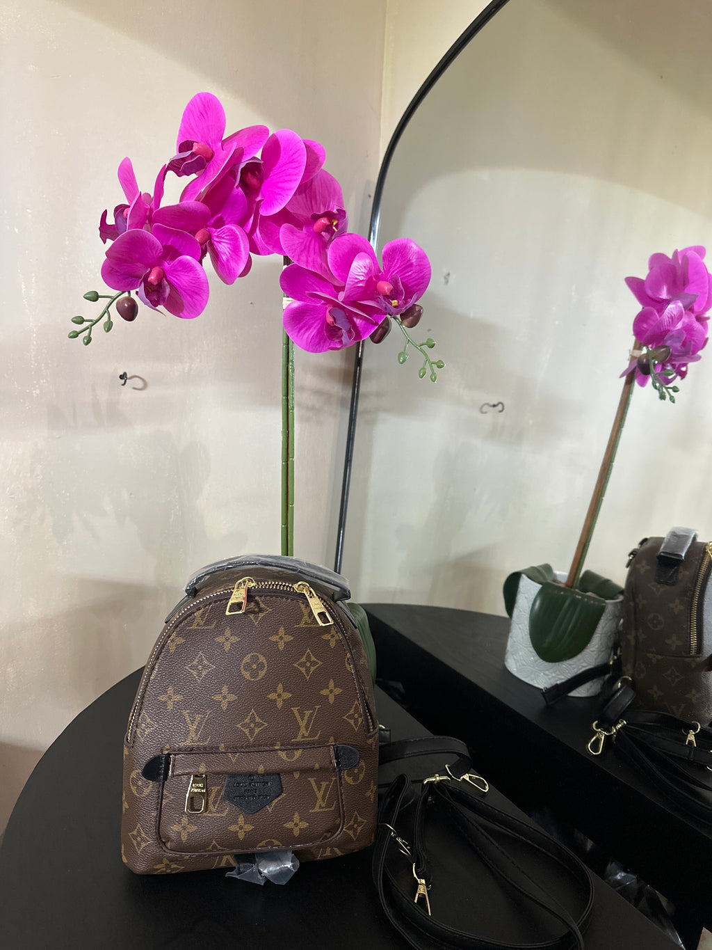 Louis Vuitton Palm Springs mini