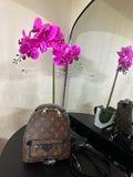 Louis Vuitton Palm Springs mini