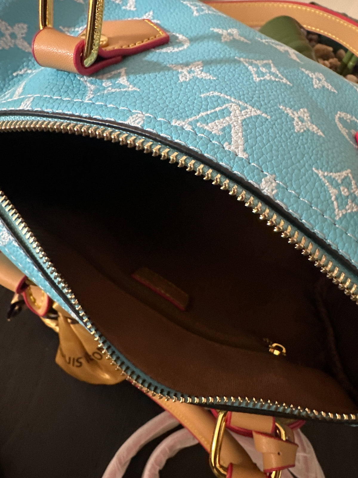 Louis Vuitton speedy 25 blue